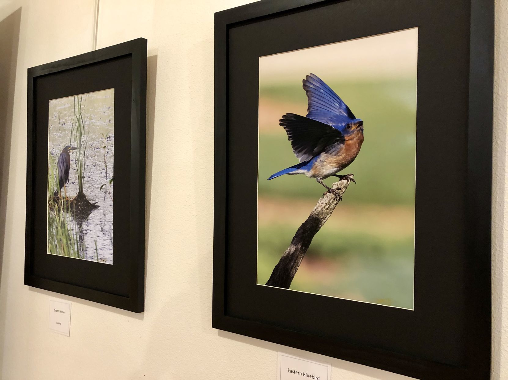 Creative Eye photography exhibit